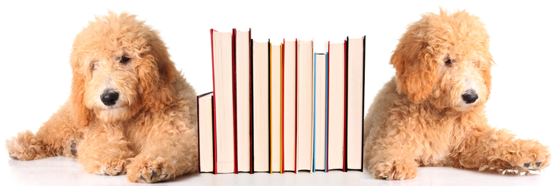 Best Practices for Commercial Packaging and Cardboard Waste